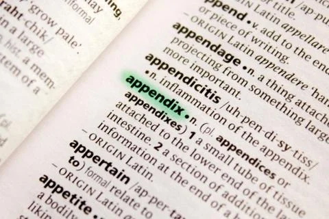 Appendix word or phrase in a dictionary. Stock Photos