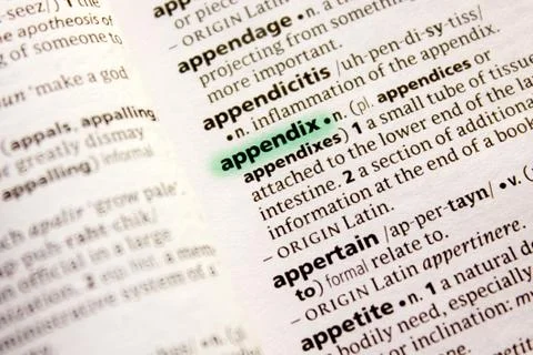 Appendix word or phrase in a dictionary. Stock Photos
