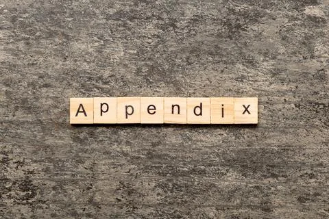 Appendix word written on wood block. appendix text on table, concept 库存照片