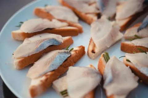 Appetizer with fish closeup 2 Stock Photos