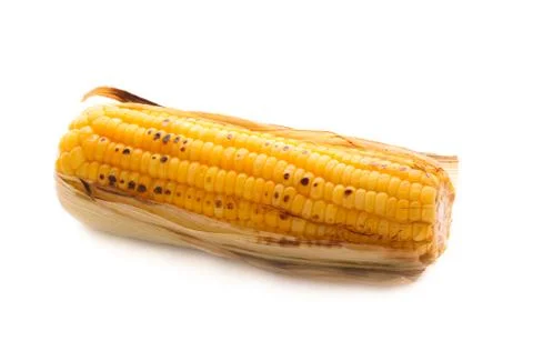 Appetizer grilled corn in white background Stock Photos