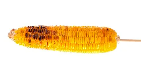 Appetizer grilled corn in white background Stock Photos