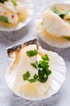 Appetizer of squid Stock Photos