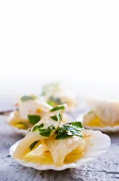 Appetizer of squid Stock Photos