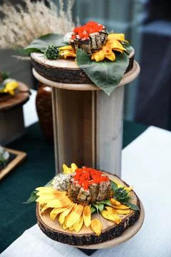 Appetizers and starters on the wedding table Stock Photos