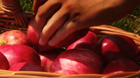 Appetizing apples in a basket Stock Footage 8560346