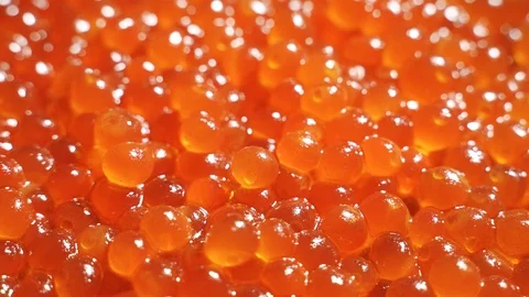 Appetizing background of red caviar. Salmon or trout caviar is laid out in a Stock Footage 123411580