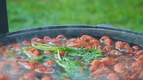 Appetizing Boiled Crayfish In The Boiling Water. Cooking And Traditional Recipes Video stock 113817709