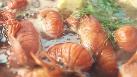 Appetizing Boiled Crayfish In The Boiling Water. Cooking And Traditional Recipes Stock Footage 113817721