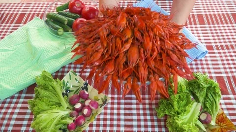 Appetizing Boiled Crayfish. Cooking And Traditional Recipes Stock Footage 113817740