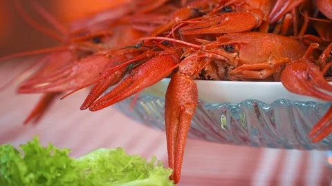 Appetizing Boiled Crayfish. Cooking And Traditional Recipes Video stock 113817750