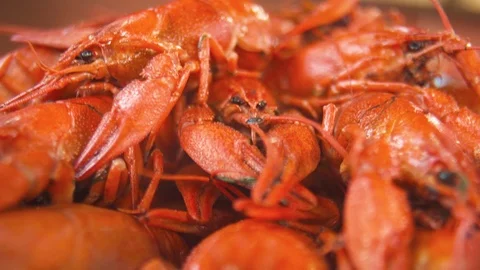 Appetizing Boiled Crayfish. Cooking And Traditional Recipes Stock Footage 113817759