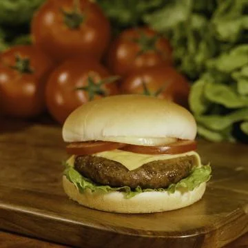 Appetizing cheeseburger Stock Photos