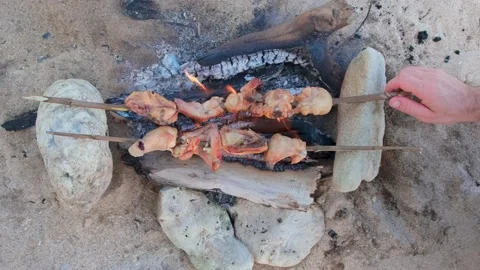 Appetizing crispy chicken is cooked at the stake. wild cooking on the beach, cam Stock Footage 137416628