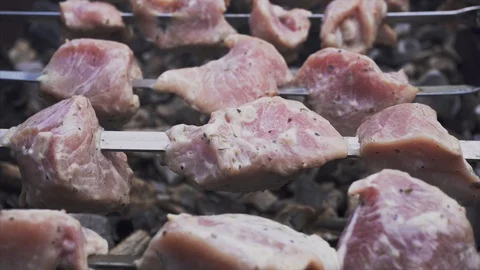 Appetizing delicious fried pieces of meat on skewers. Close up Stock Footage 115799090