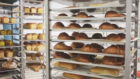 Appetizing fresh bread on rack in bakery Stock-Footage 143224202