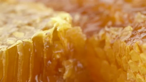 Appetizing fresh honey in combs, close-up rotation. Side view. 库存影片 136236355