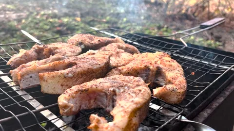 Appetizing grilled fish steaks, close-up. Grilled fish steaks close-up. Grilled Stock Footage 262973107