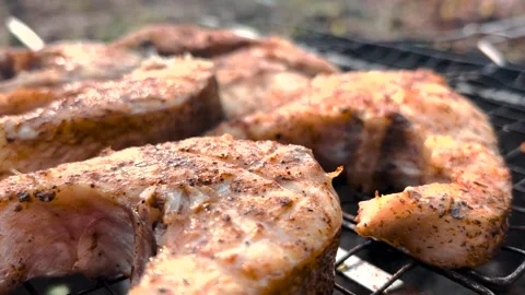 Appetizing grilled fish steaks, close-up. Grilled fish steaks close-up. Grilled Stock Footage 263149659