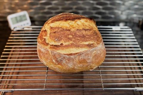 Appetizing home made loaf of bread cooling on the countertop 库存照片