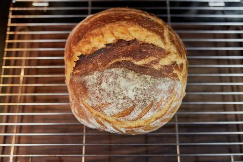 Appetizing home made loaf of bread cooling on the countertop 库存照片