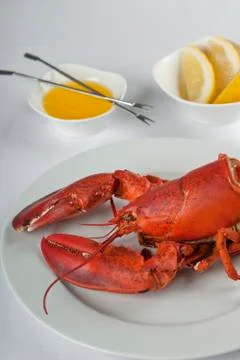 Appetizing lobster dish Foto stock