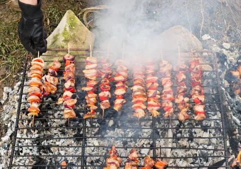Appetizing meat on a barbecue Stock Photos