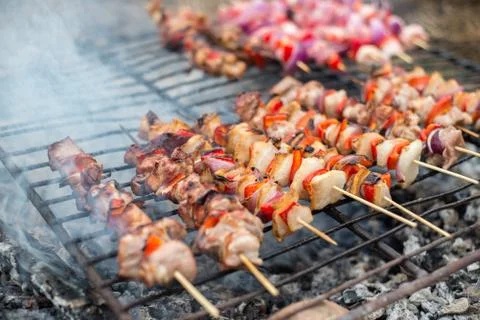 Appetizing meat on a barbecue Stock Photos