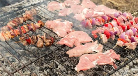 Appetizing meat on a barbecue Stock Photos