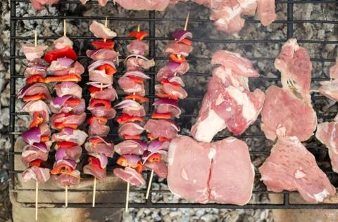 Appetizing meat on a barbecue Stock Photos