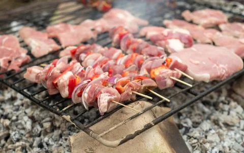 Appetizing meat on a barbecue Stock Photos