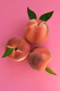 Appetizing peaches on a pink background closeup Stock Photos