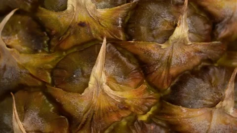Appetizing Pineapple spinning and rotating background. Macro 스톡 동영상 152779546