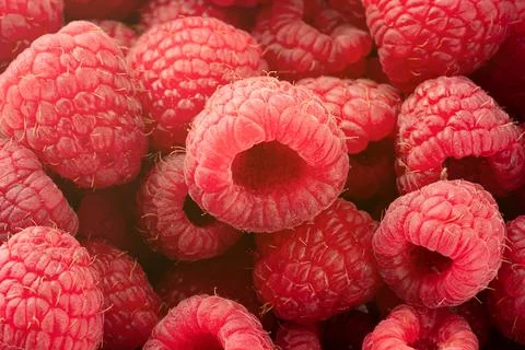 Appetizing raspberries background Stock Photos