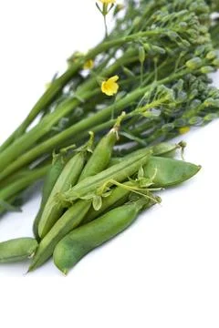 Appetizing Summer vegetable Stock Photos