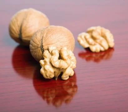 Appetizing walnut. Stock Photos