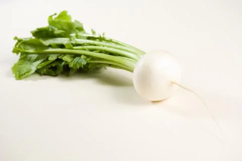 Appetizing white raddish. Stock Photos