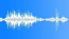 Applause and bravo exclamations in a barSound Effect