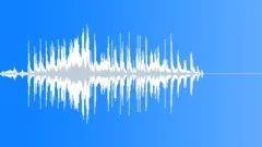 Applause and bravo exclamationsSound Effect