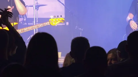 Applause in front of the stage at a rock party. Vídeo Stock 79741511