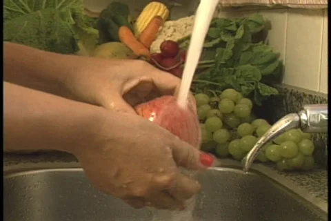 Apple - 005150006 Stock Footage 845709