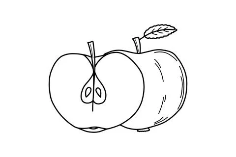 Apple and apple half hand drawn illustration. Organic healthy food. Vector .. Stock Illustration
