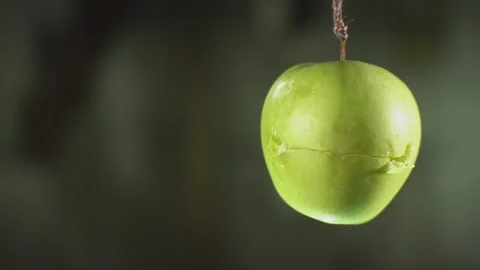 Apple and arrow Stock Footage 223669078