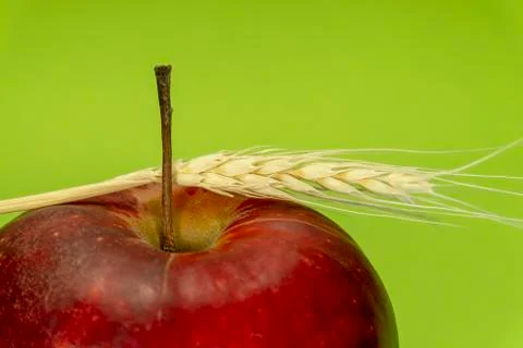 Apple and ear of rye wheat bright green background Stock Photos