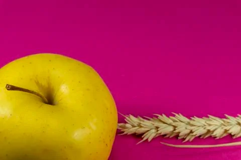 Apple and ear of rye wheat on hot pink background Stock Photos