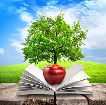 Apple and opened book Stock Photos