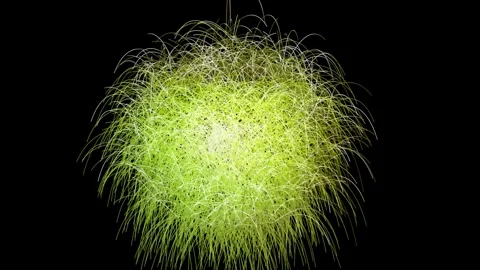 Apple animation. Abstract green apple birth. Green apple animation using cc hair Stock Footage 288126016