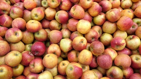 Apple Array - Crisp Delights at the Italian Market Stock Footage 305853567