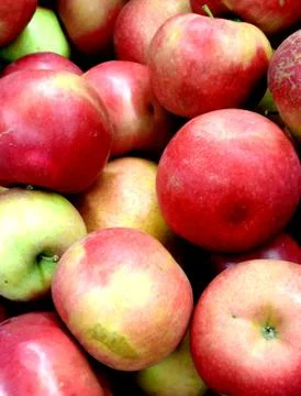 Apple background diffrent red Stock Photos