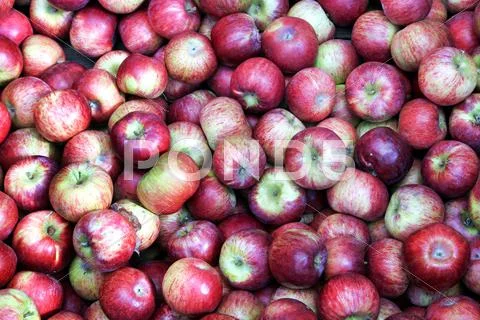 Apple background Stock Photos